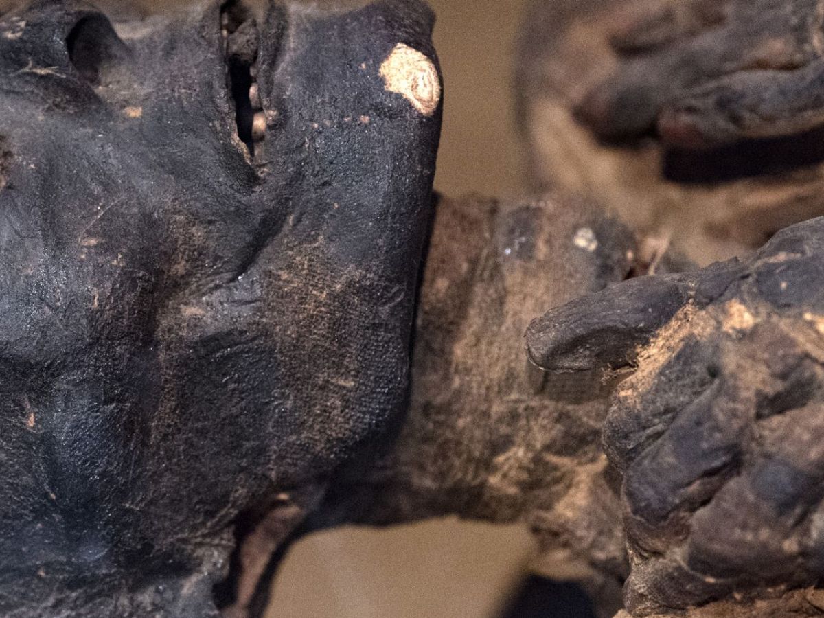 Mumie als archäologischer Fund.